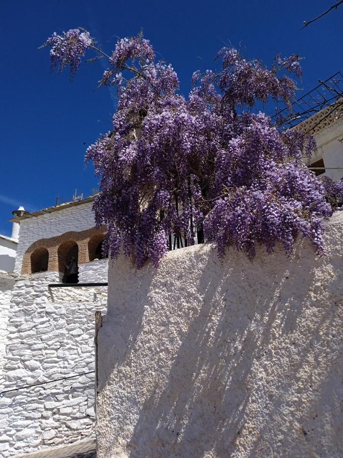 Casa Los Trillizos Pampaneira Exterior photo